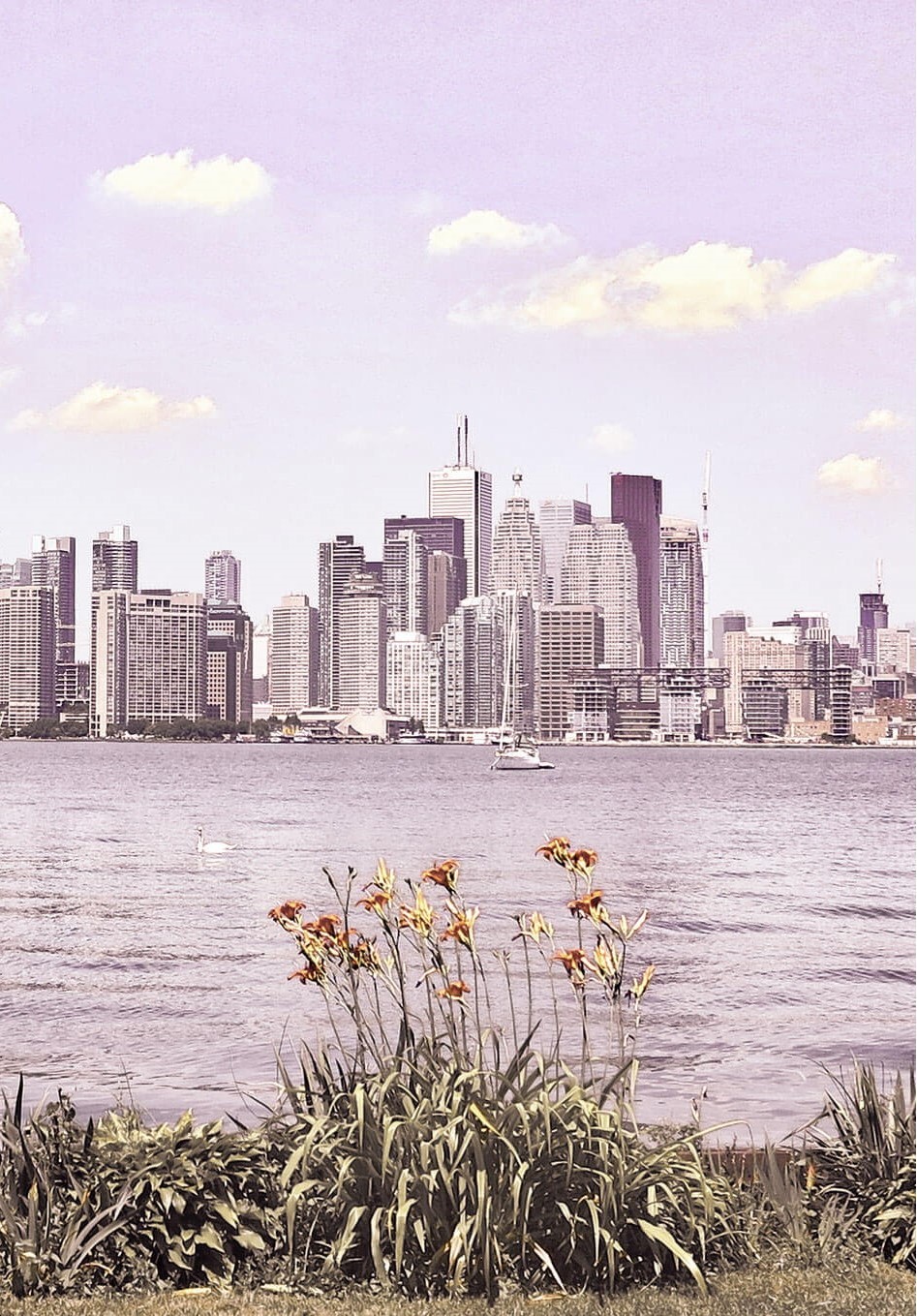 Before - Dull, uncorrected landscape